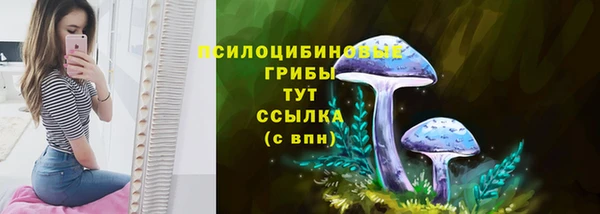 мяу мяу мука Козельск