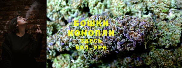 дмт Кодинск