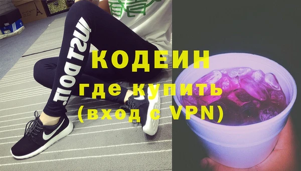 дмт Кодинск