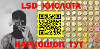 дмт Славгород