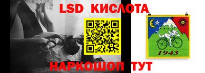 дмт Славгород
