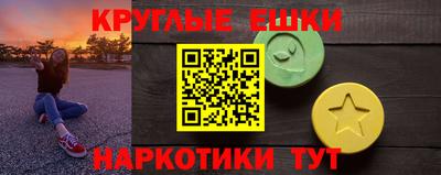 дмт Славгород