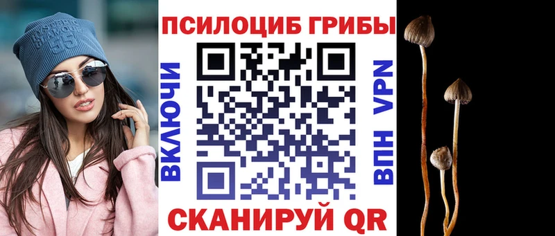 omg сайт  Одинцово  Псилоцибиновые грибы Magic Shrooms 